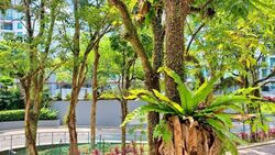 Symphony Heights (D21), Condominium #637341431